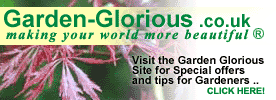 Garden Glorious - !